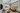 Studio 1-Bedroom Living Room Space Lounge Sofa Windows Daylight Daytime TV Divider Coffee Table Rug | Salt Lake City Apartments